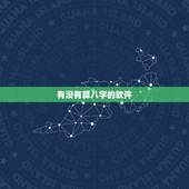 有没有算八字的软件，有没有算命准的软件
