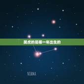 属虎的是哪一年出生的(更多)，1974年属虎是什么命