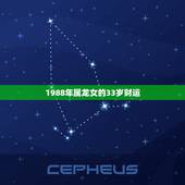 1988年属龙女的33岁财运，1988年属龙33岁的运势