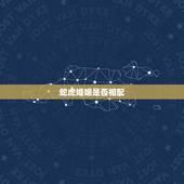 蛇虎婚姻是否相配，虎蛇相配会有什么后果