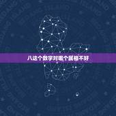 八这个数字对哪个属相不好，8是个吉祥数字吗？