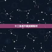 十二生肖不能结婚配对 哪些生肖不能结婚