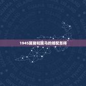 1945属猪和属马的婚配怎样，七一年属猪女和七七年属马男性婚配适合吗？