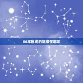 86年属虎的姻缘在哪年，86年虎女注定有二婚