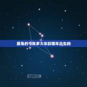 属兔的今年多大年龄哪年出生的，2021年属兔的多大年龄？
