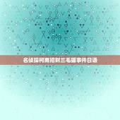 名侦探柯南招财三毛猫事件日语，灰原哀出现的集数