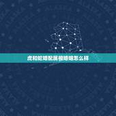 虎和蛇婚配属相婚姻怎么样，蛇和虎相配婚姻如何