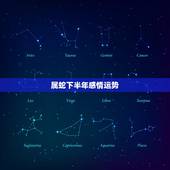 属蛇下半年感情运势，2016年属蛇的人运势