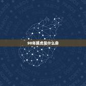 98年属虎是什么命，土命和火命的人合不合