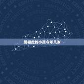 属相虎的小孩今年几岁，属虎人今年几岁了？