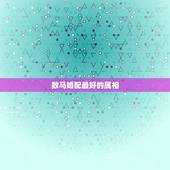 数马婚配最好的属相，属马和什么属相最配