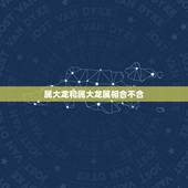 属大龙和属大龙属相合不合，属相龙和哪个属相不合？