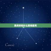 属虎的和什么属相最克，属羊的和什么属相相克