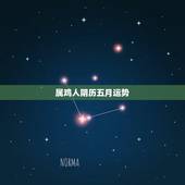 属鸡人阴历五月运势，属鸡的人2021年运势及运程
