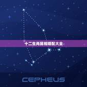 十二生肖属相婚配大全，十二生肖婚配