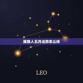 属猴人五月运势怎么样，生肖猴今日运势