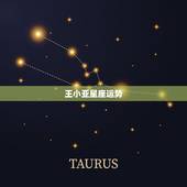 王小亚星座运势，2011年12星座运势（9个星座已出 剩3）。疯了疯了