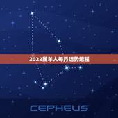 2022属羊人每月运势运程，属羊67年男2021年每月运势