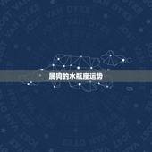 属狗的水瓶座运势，未来三年属狗人水瓶座运程