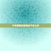 今年属猴的属相运气怎么样，属猴人的婚姻与命运 2017十二生肖本命佛