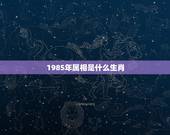 1985年属相是什么生肖，85年属牛的和什么属相最配