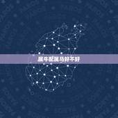 属牛配属马好不好，属牛和属马的合财吗