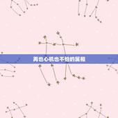 再也心机也不怕的属相，是八买八费心机，马猴鸡猪打一生肖