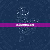 鸡和鼠的婚配属相，属鼠的和属鸡的配吗 详细�0�3