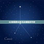 82年狗男90年马女婚配好不好，1990年属马男和1982年属狗女好吗