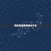 狗和龙船属相相合不合，属狗和属龙的属相不合怎么化解