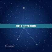 农历十二出生的属蛇，农历12月的蛇命运怎么样