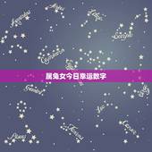 属兔女今日幸运数字，属兔天蝎座的幸运数字、日期。
