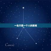 一生只爱一个人的属相，哪些生肖的人晚年感情会越来越好？