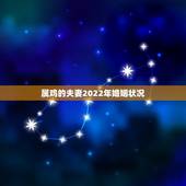 属鸡的夫妻2022年婚姻状况，2022 年属鸡的桃花位