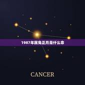 1987年属兔正月是什么命，1987年正月的兔子晚上出生