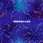 马相克的是什么生肖，牛相克的是什么生肖