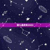 猪人遇虎年2022，猪人逢虎年运程