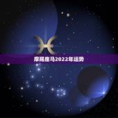 摩羯座马2022年运势，摩羯2022年运势详解全年运程完整版