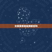 女属猪男属鼠婚配好吗，女猪和男鼠相配婚姻如何