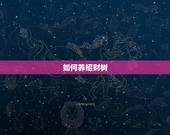 如何养招财树，怎么养招财树，