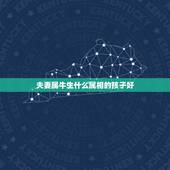 夫妻属牛生什么属相的孩子好，属虎和属牛的生个个什么属相的孩子好