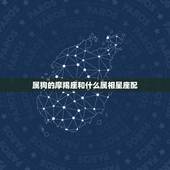 属狗的摩羯座和什么属相星座配，1994年属狗的摩羯女和哪一年属什么哪个