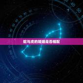 蛇与虎的婚姻是否相配，男蛇女龙婚姻是否相配