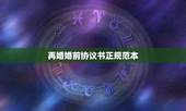 再婚婚前协议书正规范本，二婚婚前协议怎么写