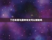 丁巳年男与庚申年女可以婚配吗，2014年正月二月买车吉日吉时？男庚申年