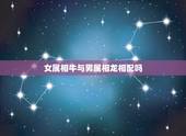 女属相牛与男属相龙相配吗，女属牛和男属龙配吗？请大师指点？