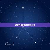 农历19日属相是什么，阴历1991年1月19日是属什么星座什么生肖啊