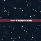 1995年男猪的最好婚配属相，95年属猪男的和什么属相最配 1995年
