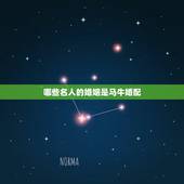 哪些名人的婚姻是马牛婚配，属马的人和什么属相结婚最相配
