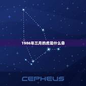 1986年三月的虎是什么命，1986年三月初一属虎是什么命